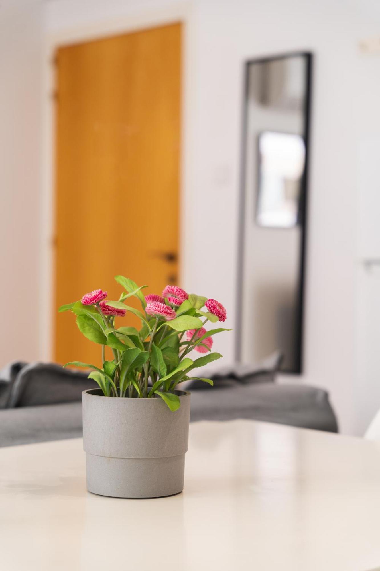 Kave Blue Mackenzie 1 Bdr Flat With Pool Apartment ลาร์นาคา ภายนอก รูปภาพ